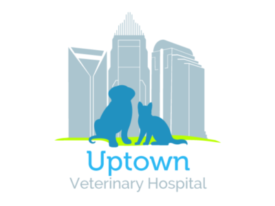 Uptown Veterinary Hospital